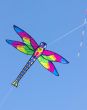 Dragonfly Kite 100