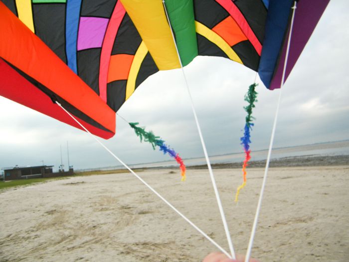 Fringe Tail Rainbow 7m