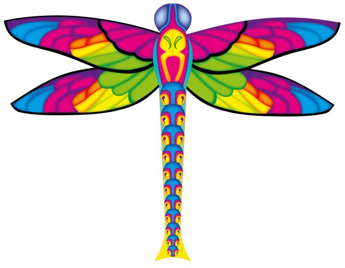 Dragonfly Kite 100