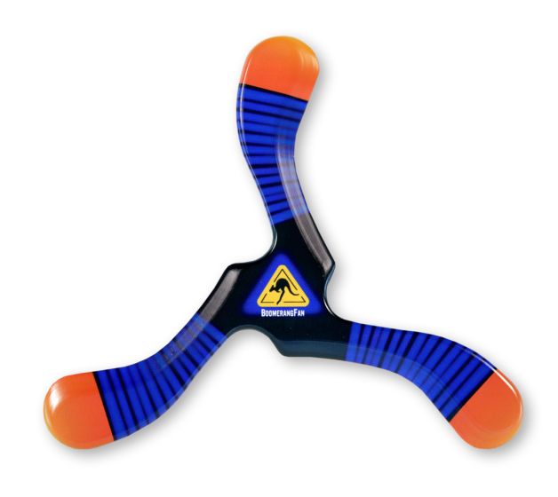 Boomerang Zebra III