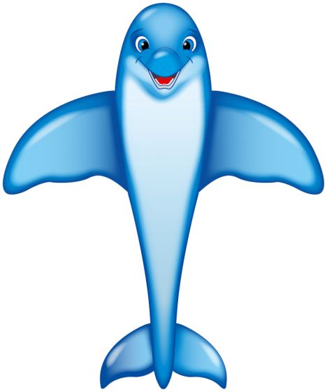 Delfin Kite 200 cm