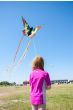 Butterfly Kite Swallowtail 130