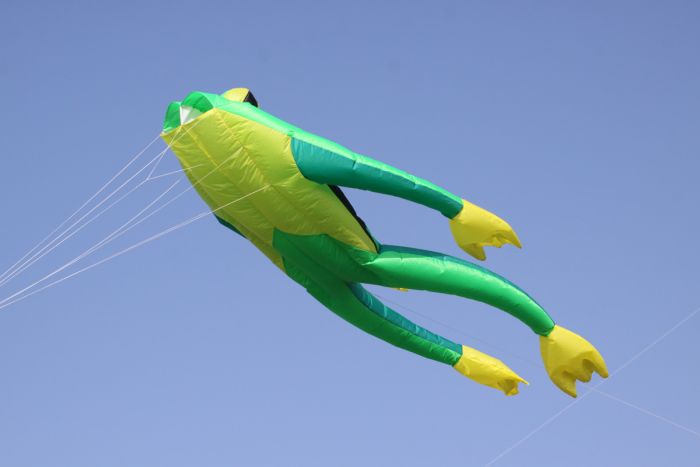Fritz the Frog XL (kite only)