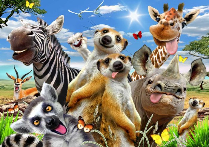 Welcome To Africa 500 brikker