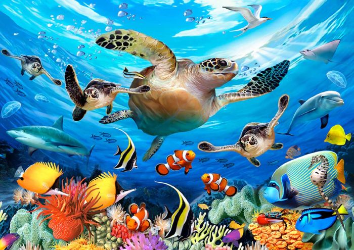 Ocean Life, 500 brikker